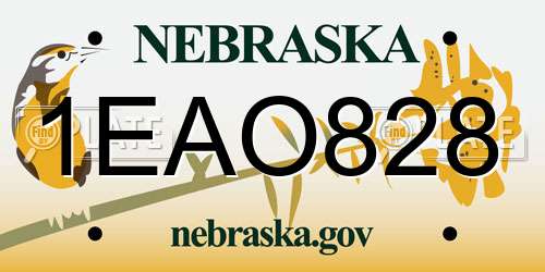 1EAO828 Nebraska License Plate