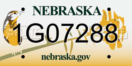 1G07288 Nebraska License Plate