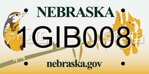 1GIB008 Nebraska License Plate
