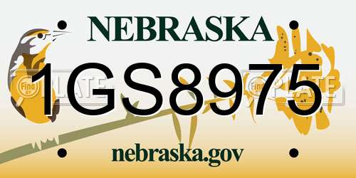 1GS8975 Nebraska License Plate