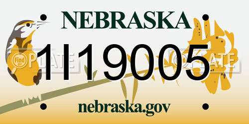 1I19005 Nebraska License Plate