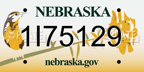 1I75129 Nebraska License Plate