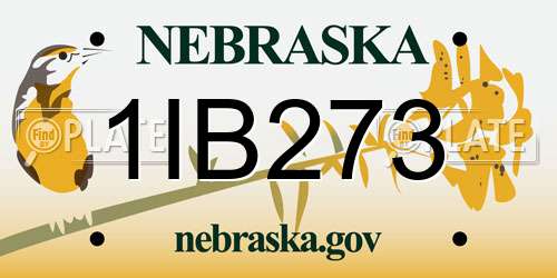 1IB273 Nebraska License Plate