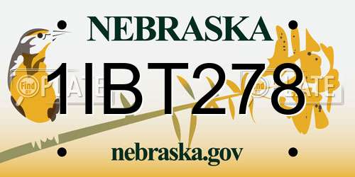 1IBT278 Nebraska License Plate