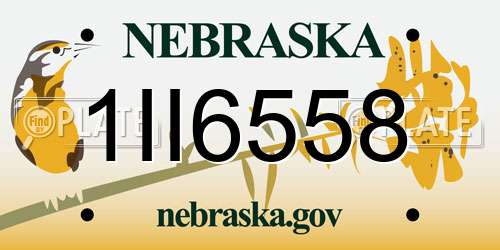 1II6558 Nebraska License Plate