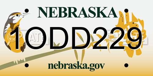 1ODD229 Nebraska License Plate