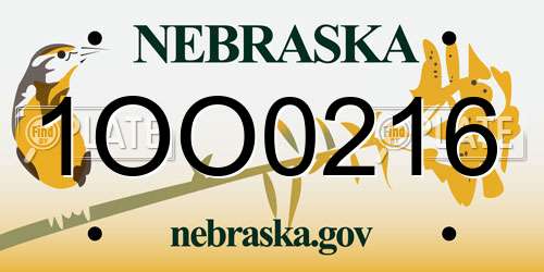 1OO0216 Nebraska License Plate