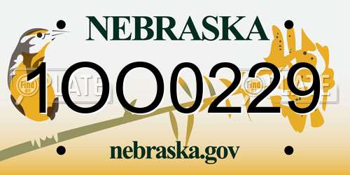 1OO0229 Nebraska License Plate
