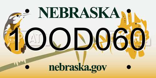 1OOD060 Nebraska License Plate