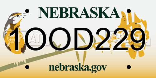 1OOD229 Nebraska License Plate
