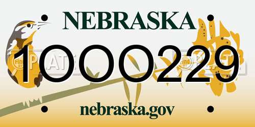 1OOO229 Nebraska License Plate