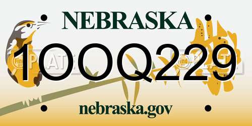 1OOQ229 Nebraska License Plate