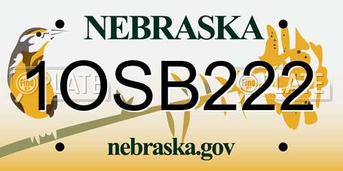 1OSB222 Nebraska License Plate