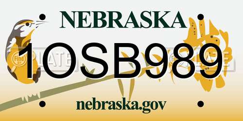 1OSB989 Nebraska License Plate