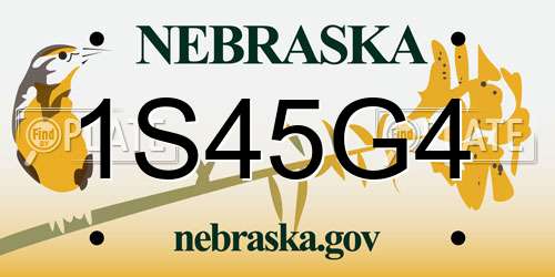 1S45G4 Nebraska License Plate