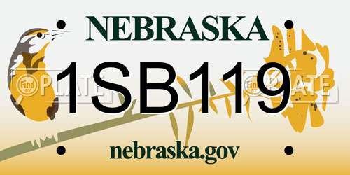 1SB119 Nebraska License Plate