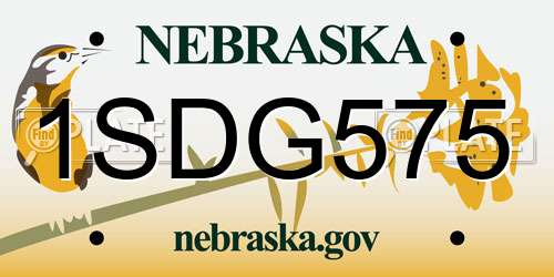 1SDG575 Nebraska License Plate