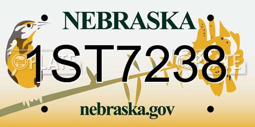 1ST7238 Nebraska License Plate