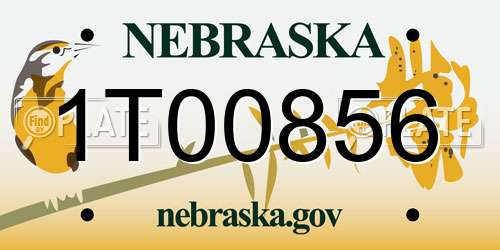 1T00856 Nebraska License Plate