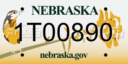 1T00890 Nebraska License Plate