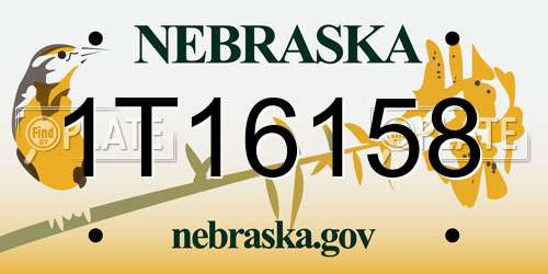 1T16158 Nebraska License Plate