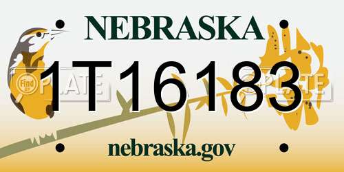 1T16183 Nebraska License Plate