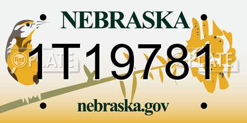 1T19781 Nebraska License Plate