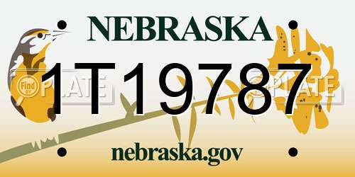 1T19787 Nebraska License Plate