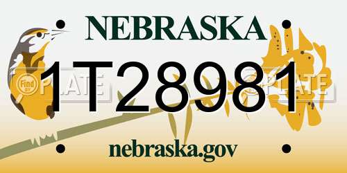 1T28981 Nebraska License Plate