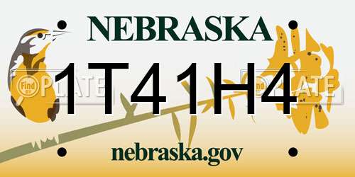 1T41H4 Nebraska License Plate