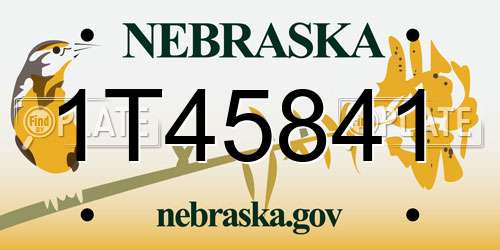 1T45841 Nebraska License Plate