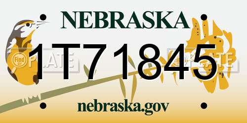 1T71845 Nebraska License Plate