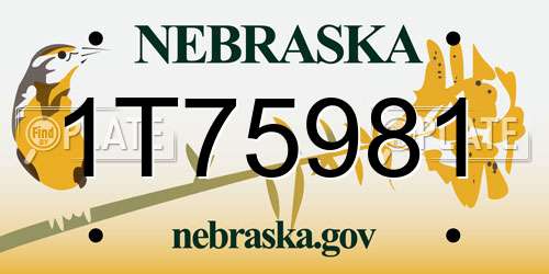 1T75981 Nebraska License Plate