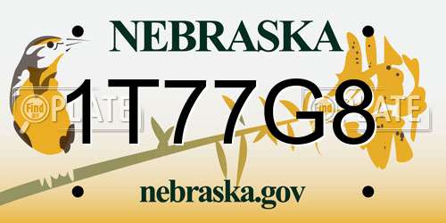 1T77G8 Nebraska License Plate