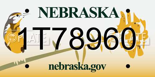 1T78960 Nebraska License Plate