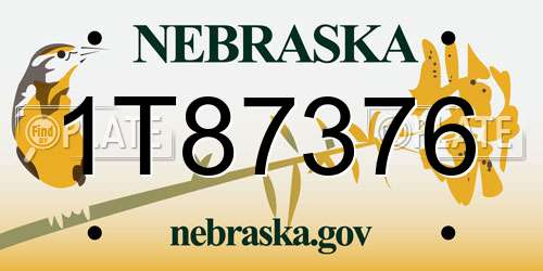 1T87376 Nebraska License Plate