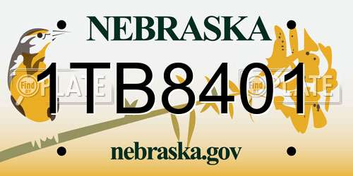 1TB8401 Nebraska License Plate