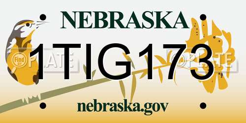1TIG173 Nebraska License Plate