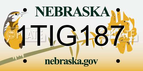 1TIG187 Nebraska License Plate