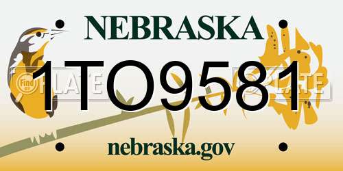 1TO9581 Nebraska License Plate