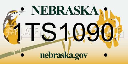 1TS1090 Nebraska License Plate