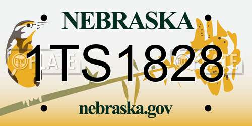 1TS1828 Nebraska License Plate