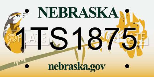 1TS1875 Nebraska License Plate