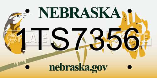 1TS7356 Nebraska License Plate