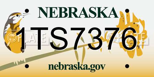 1TS7376 Nebraska License Plate