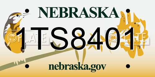 1TS8401 Nebraska License Plate