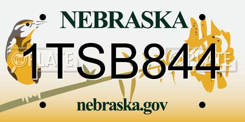 1TSB844 Nebraska License Plate