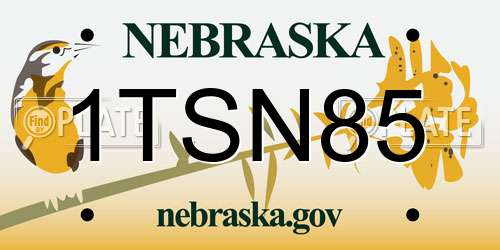 1TSN85 Nebraska License Plate
