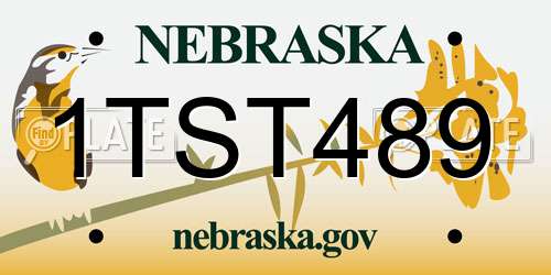 1TST489 Nebraska License Plate