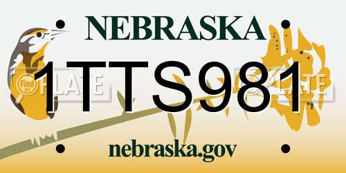 1TTS981 Nebraska License Plate